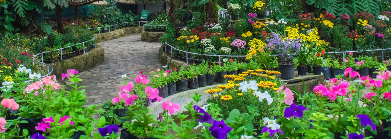 Flower Exhibition Center
